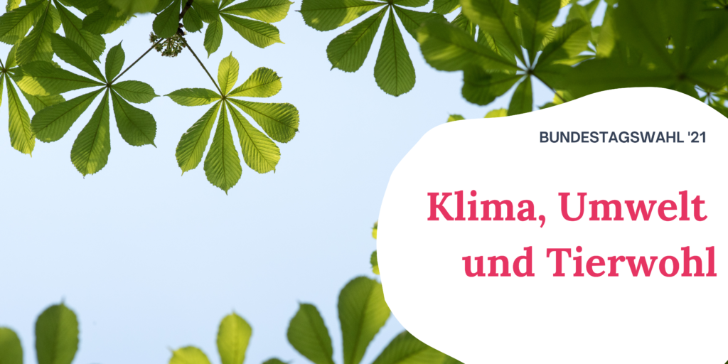 Auf dem Bild sieht man die Blätter eines Baumes vor dem blauen Himmel. Rechts auf dem Bild steht "Bundestagswahl '21 Klima, Umwelt und Tierwohl"